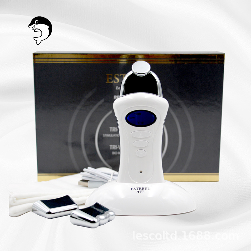 Facial Beauty Instrument Import and Export Nutrition Face Device Wrinkle Skin Care Microcurrent Beauty Import Instrument