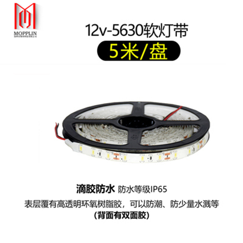 12V light strip 5050 SMD soft light strip single color RGB color changing breathing seven color KTV smart lighting light strip