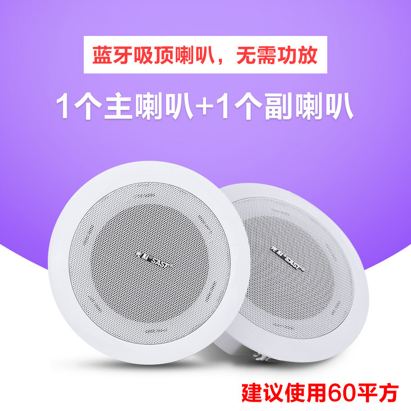 蓝牙主机+一只副箱