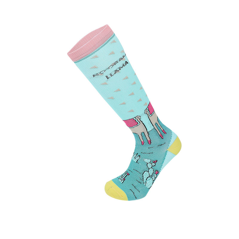 Socks, men's animal rainbow spring and autumn new sports socks, winter men's knee-high socks, casual sports cartoon socks