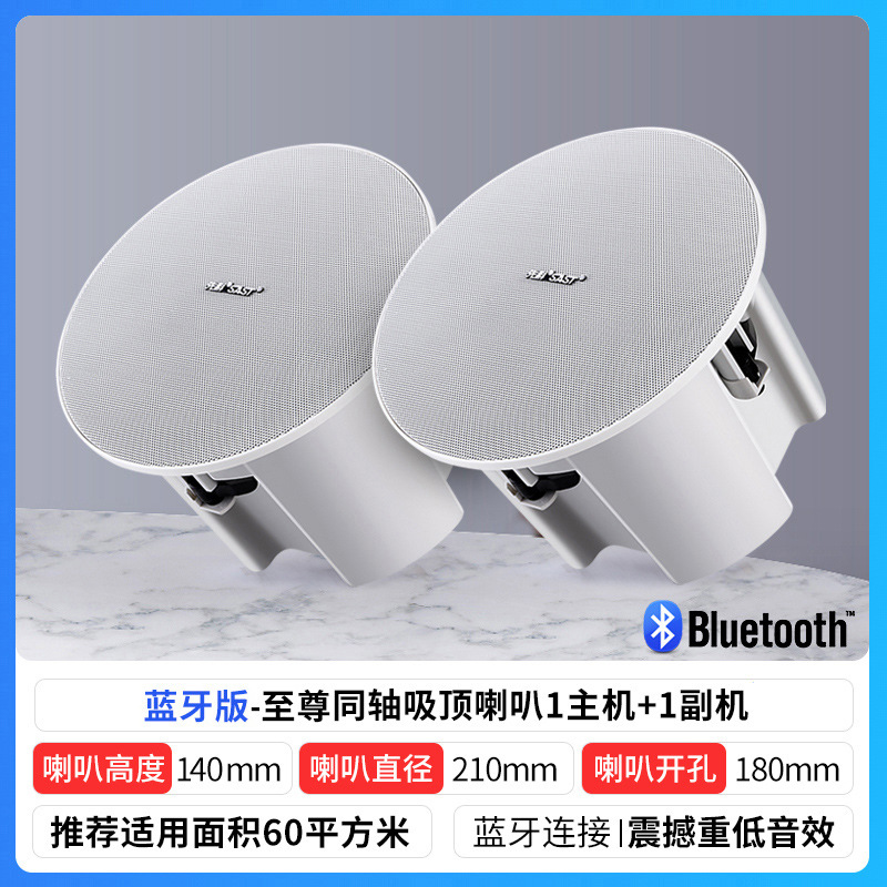 至尊版重低音蓝牙吸顶（1拖1）+1副箱