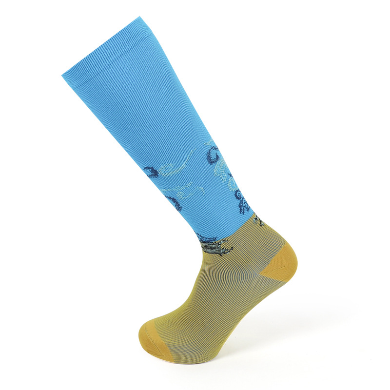 Socks, spring new socks, couple oil painting famous painting mid-calf socks, cartoon thick socks