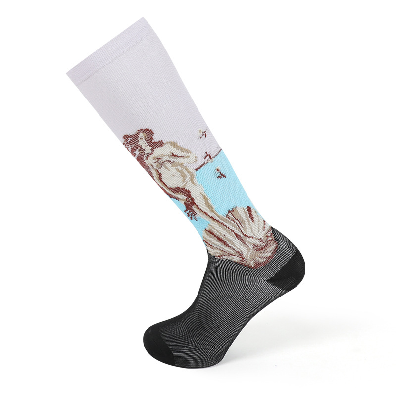 Socks, spring new socks, couple oil painting famous painting mid-calf socks, cartoon thick socks