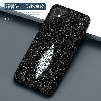 黑色 · iPhone12Pro Max（6.7）