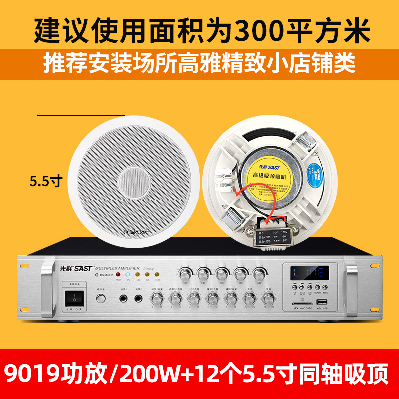 布线款-12个5.5寸同轴+功放套装