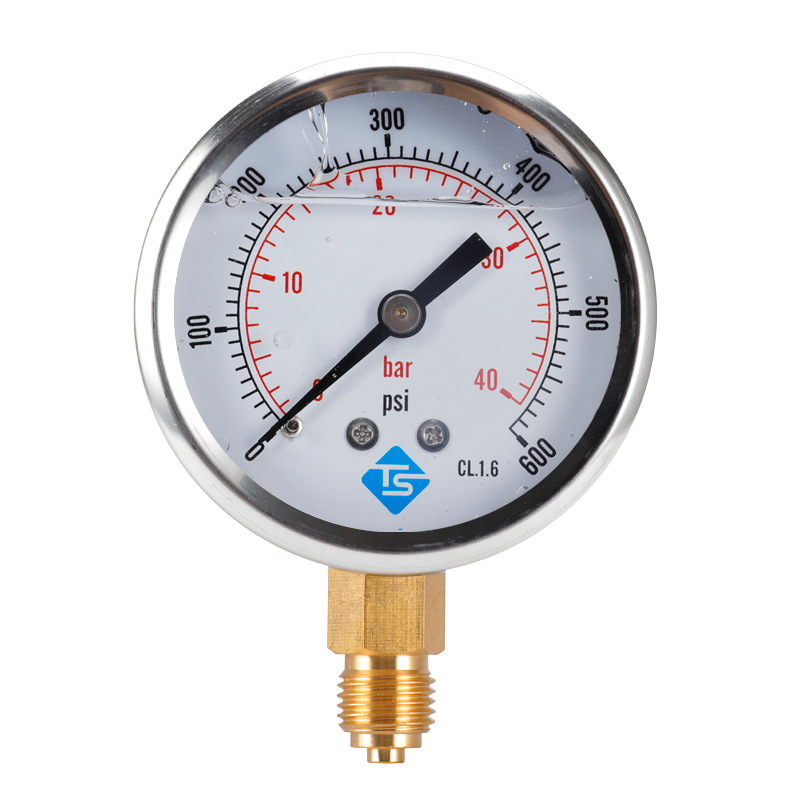 TS-PGG604-40bar