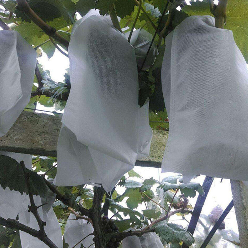 Outdoor binding wire non-woven grape bag pomelo pear fruit protection bag insect-proof bird-proof rain-proof fruit bag