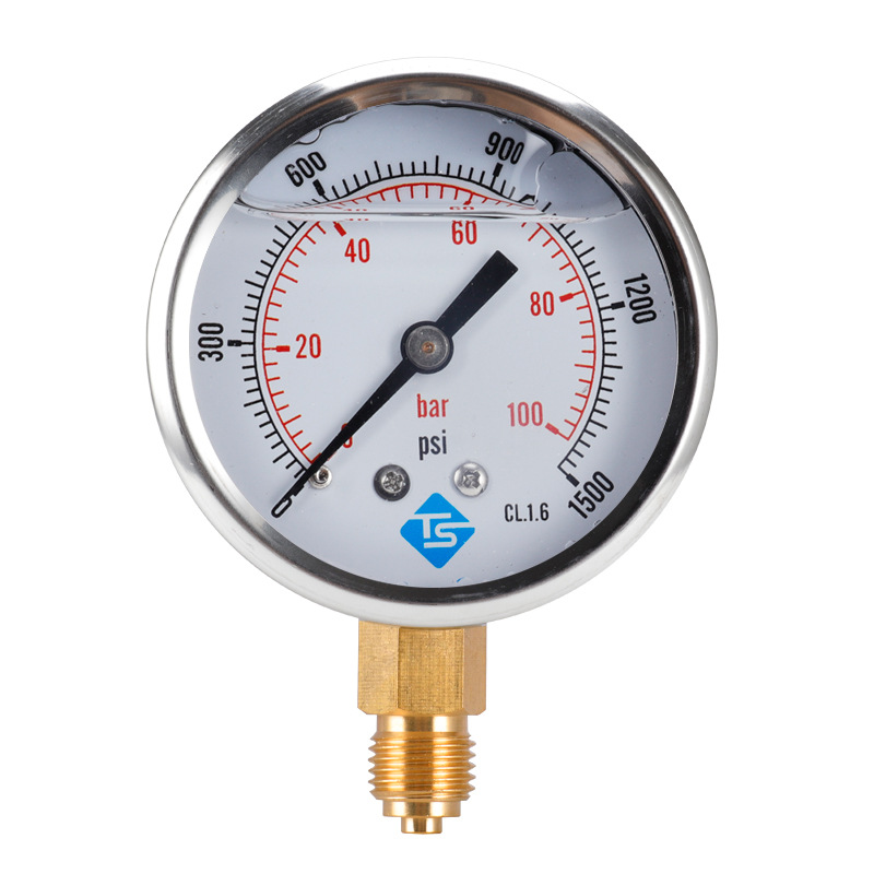TS-PGG604-100bar