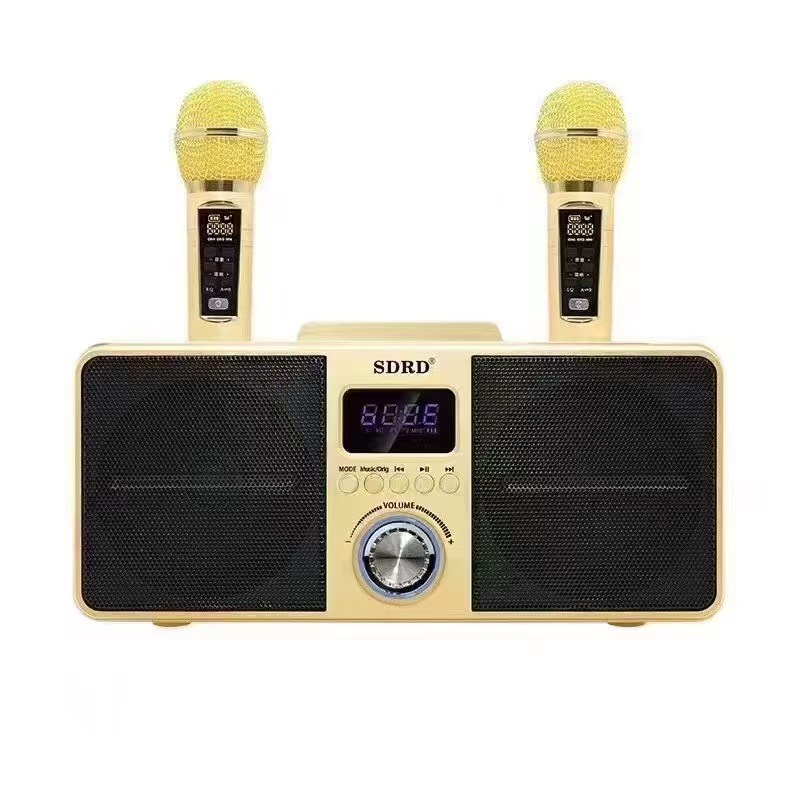 SD309 Wireless Dual Microphone Bluetooth Speaker Singing All-in-One Outdoor Portable High-Power K-Song Machine