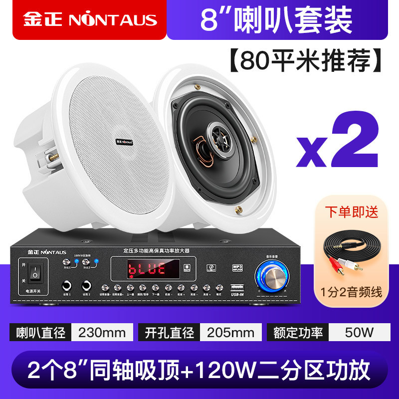 120瓦蓝牙功放+8寸同轴喇叭*2