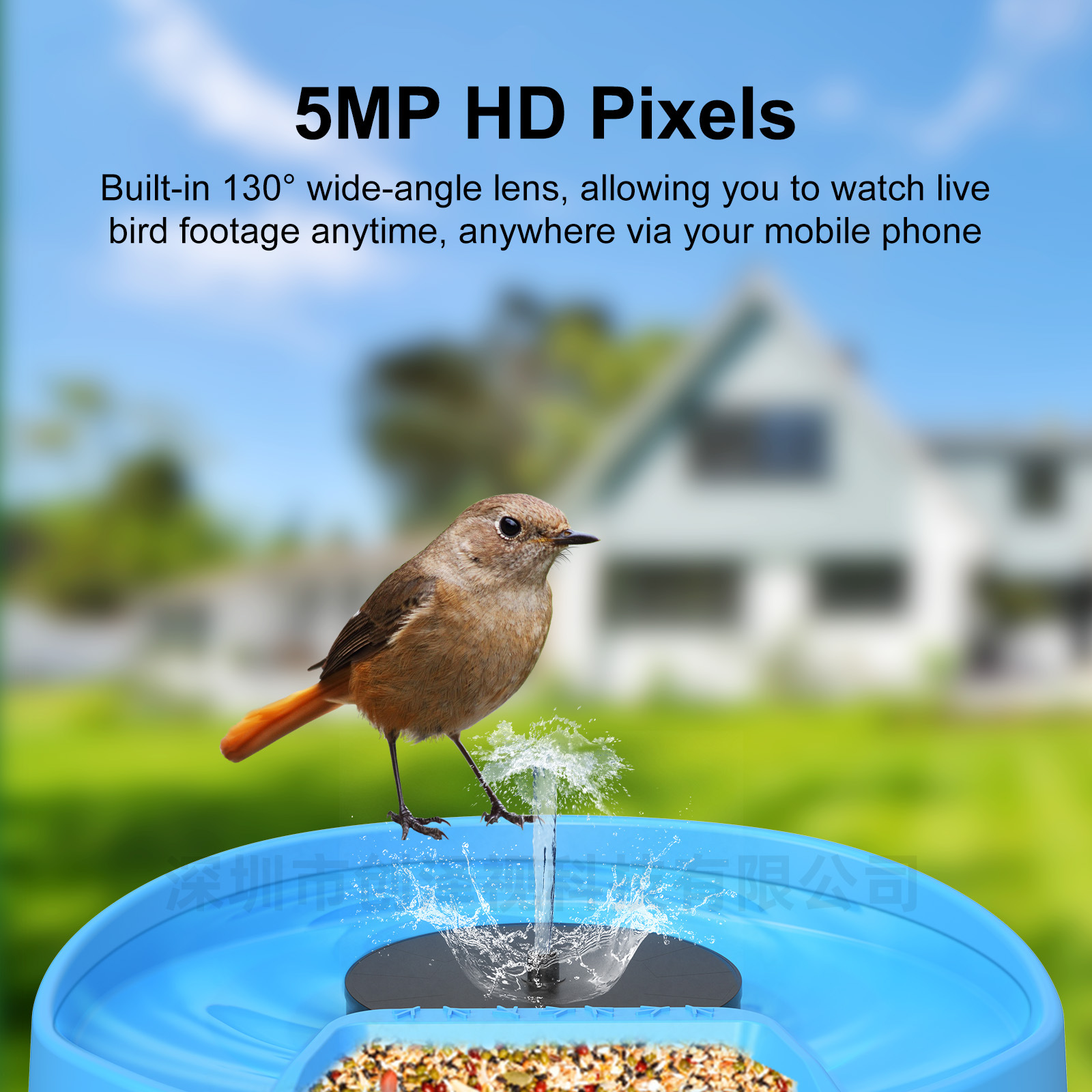 Bird Bath Smart Bird Feeder with Camera AI Recognition of 10,000+ Birds HD Solar Feeder