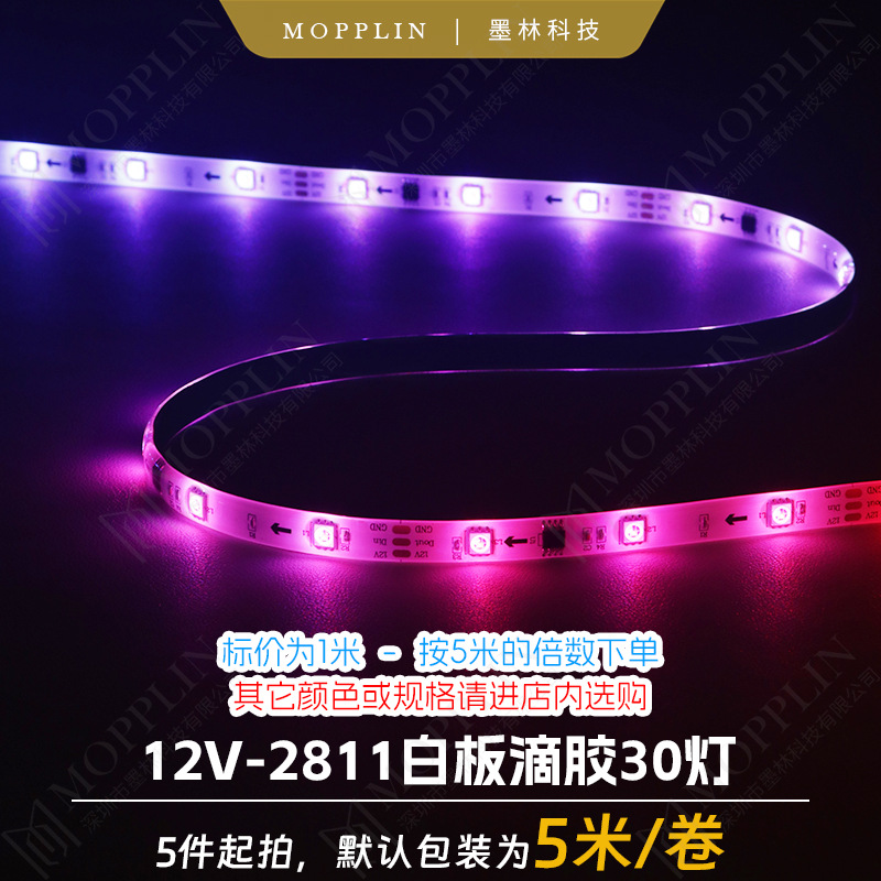 12v2811 magical color rgb led strip outdoor waterproof 30 lights drip glue 5050 intelligent led light strip ultra bright programming IC