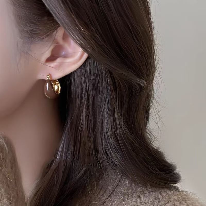 Autumn and winter Maillard tiger eye ear buckle earrings 2024 new ear accessories for women