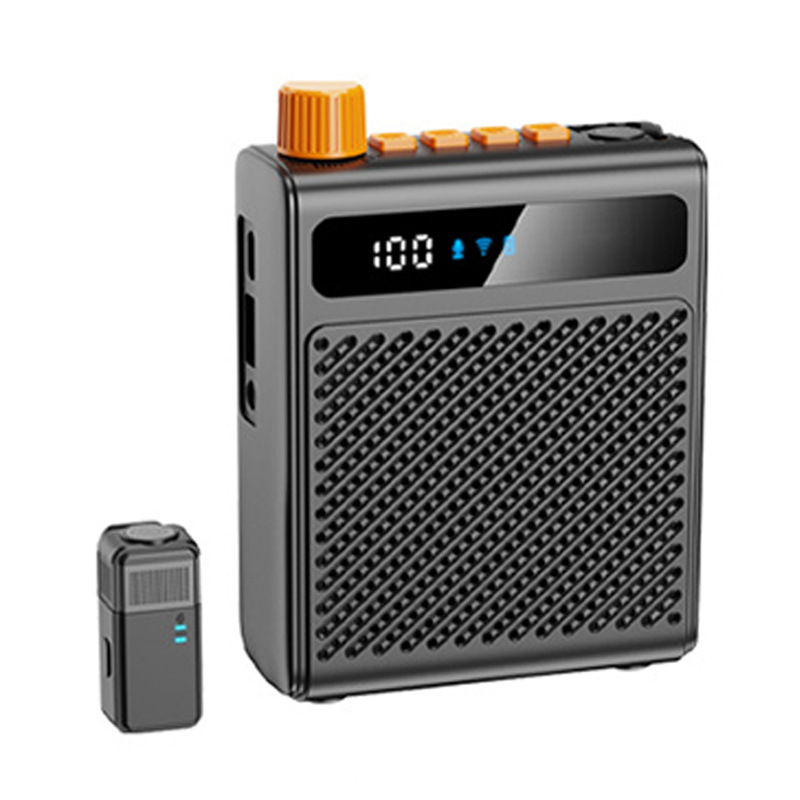 Custom Little Bee Amplifier for Teachers, Tour Guides, Sales, Shopping Malls, Waist-mounted Portable Speaker, Amplifier for Calling