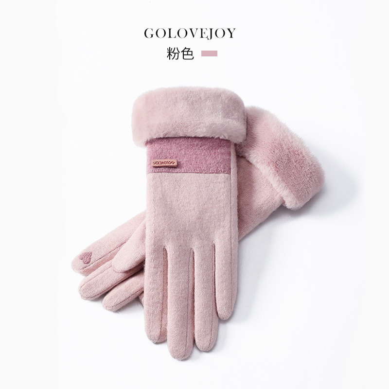 Winter new cashmere gloves women outdoor small fragrance style fleece thickened warm gloves cold-resistant touch screen DY50