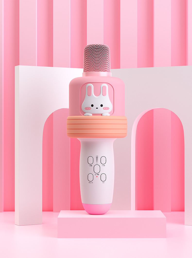 Exclusive Microphone All-in-One Microphone Home Outdoor K Song Wireless Bluetooth Children's Pet Microphone Custom