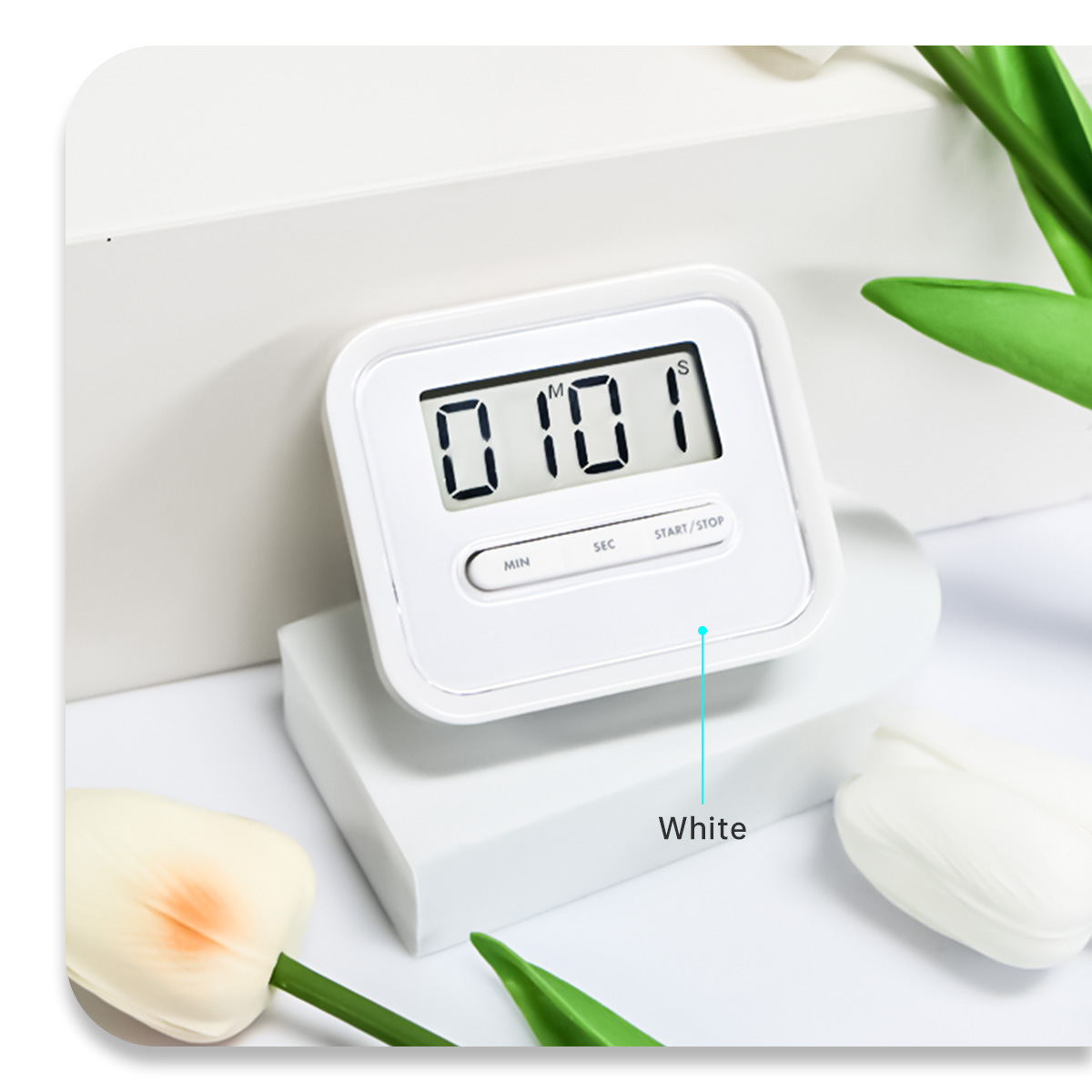 Kitchen Timer Electronic Timer Reminder for Taking Medicine Forgetfulness Reminder Timer Multi-Color Fresh