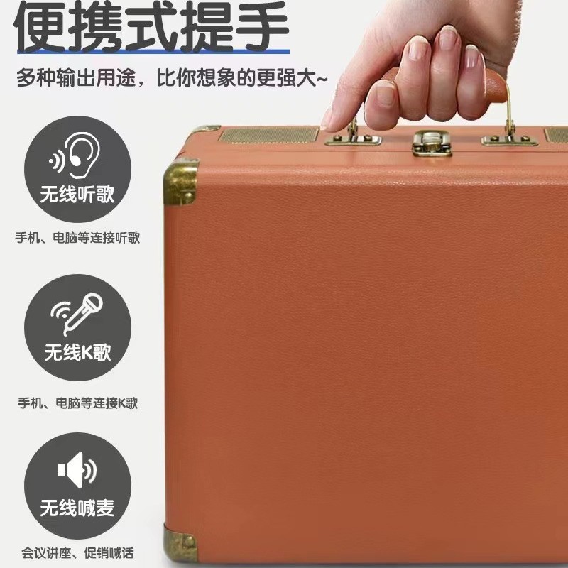 SD2109 Bluetooth Speaker Wireless Microphone Microphone Singing All-in-One Handheld Outdoor Portable K Song