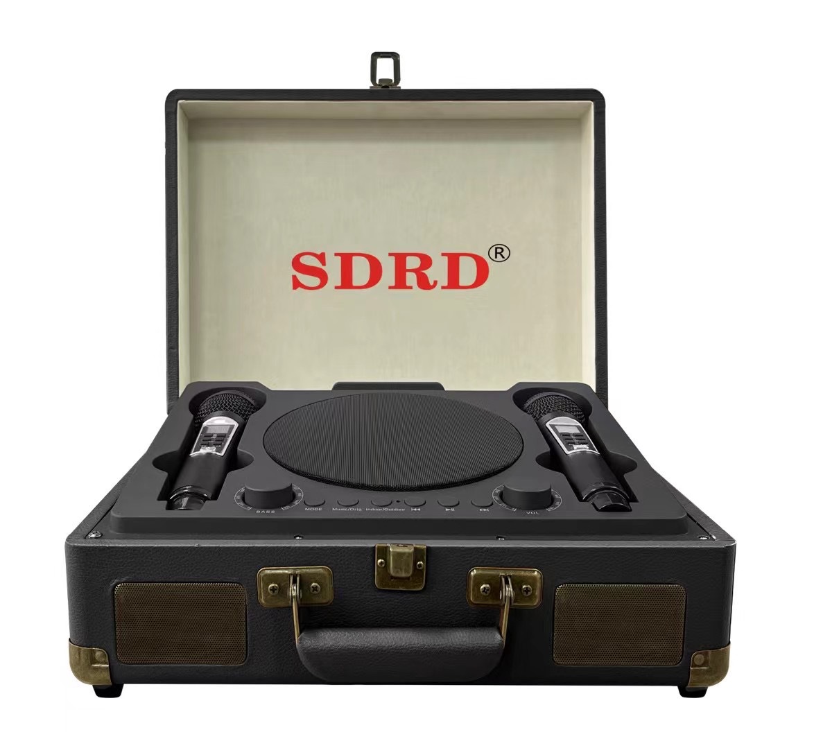 SD2109 Bluetooth Speaker Wireless Microphone Microphone Singing All-in-One Handheld Outdoor Portable K Song