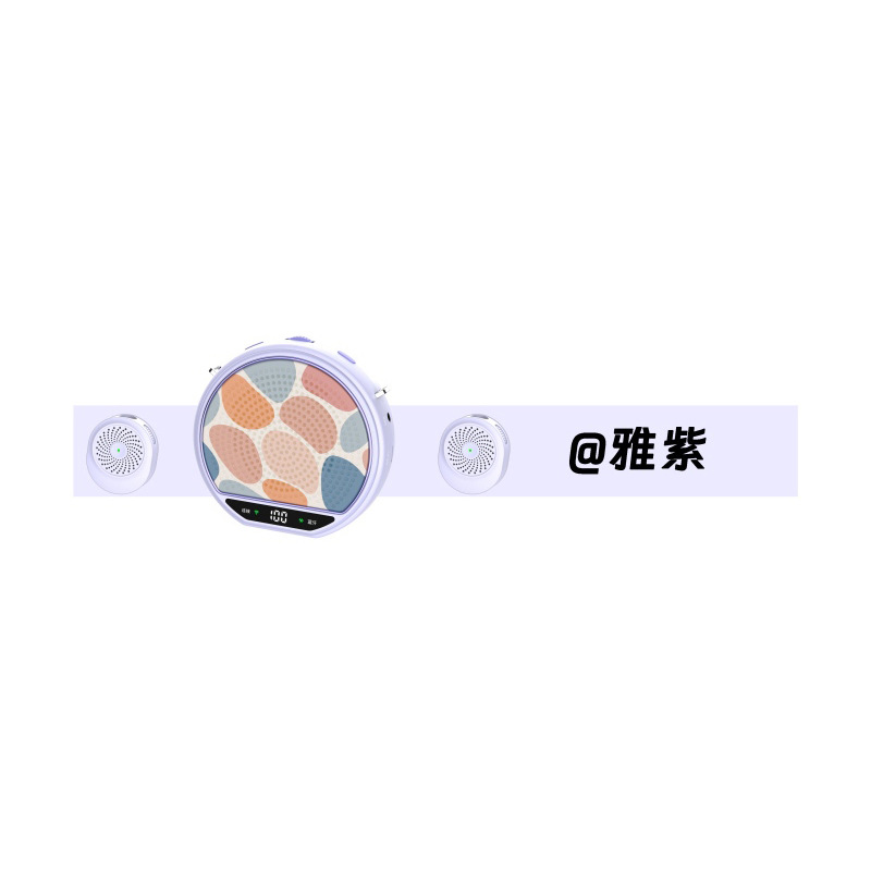 New Wireless Portable Amplifier, Loud Speaker for Street Vending, Little Bee Amplifier with Clip-on Mic for Tour Guides and Teachers