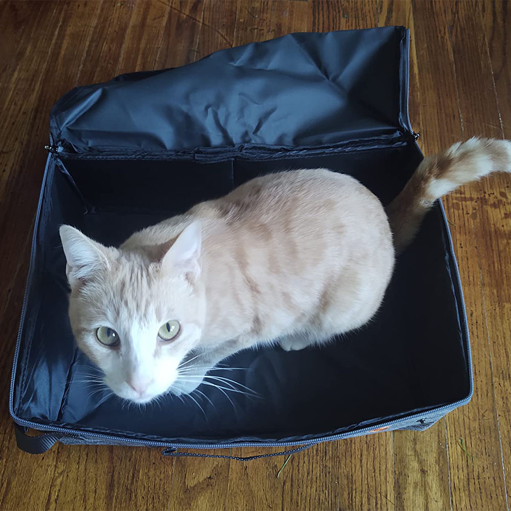 Travel Cat Litter Box With Lid Handle Standard Portable Foldable Cat Litter Box Fabric Cat Litter Bag