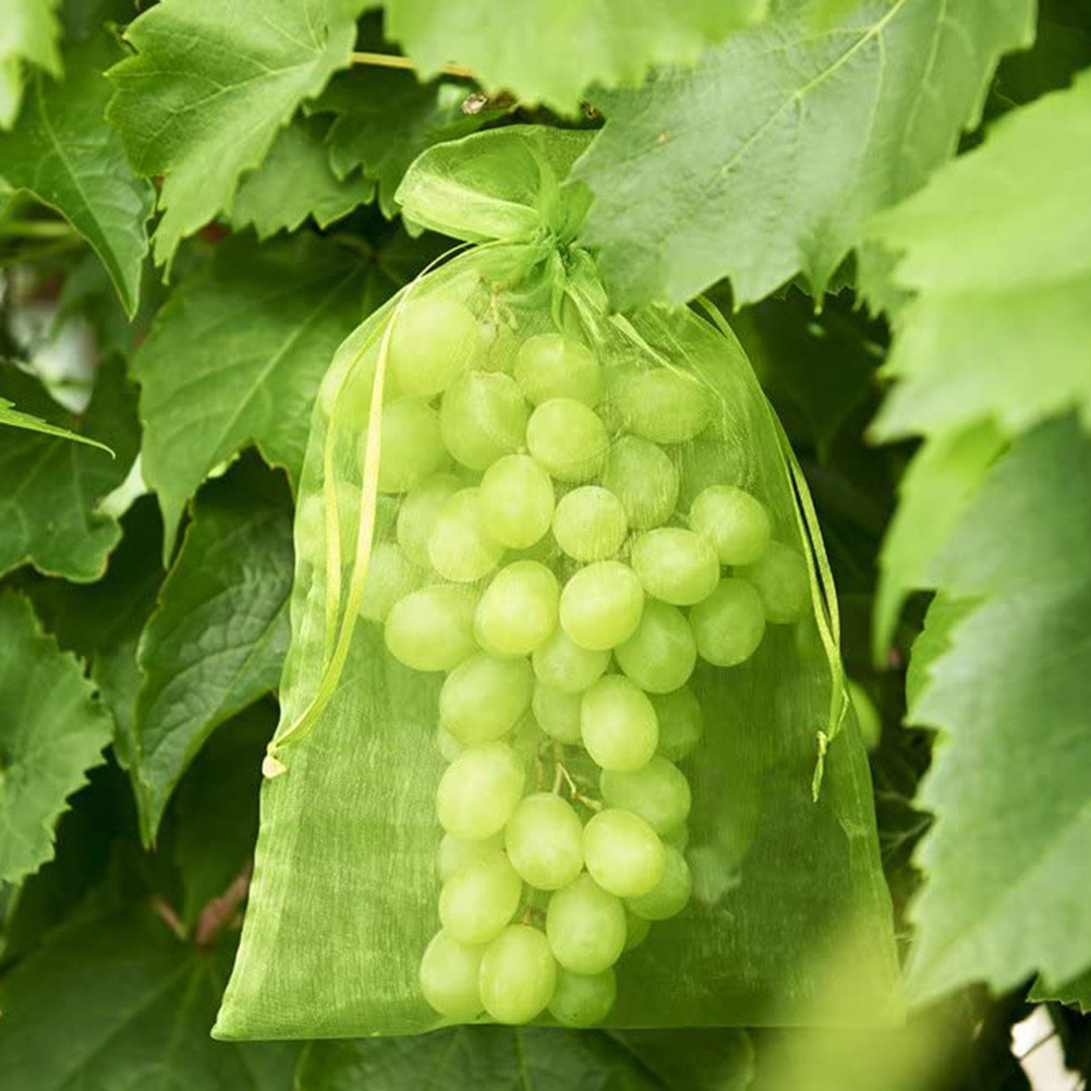 Binding wire grape bag green sunshine rose special breathable bird-proof non-woven grape bag fruit bag