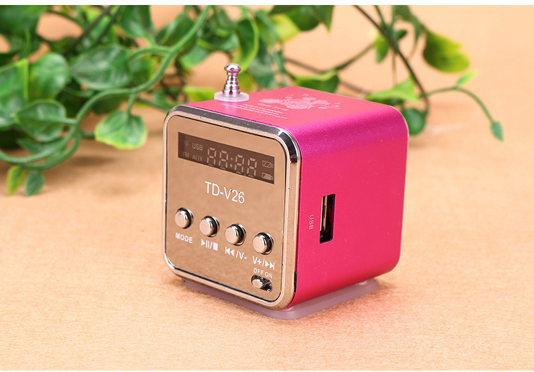 Outdoor Portable Bluetooth Speaker Walkman Subwoofer Small Speaker TDV26