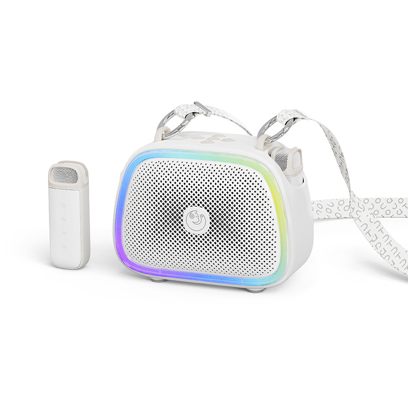 New Bluetooth K Song Speaker Microphone All-in-One Home Wireless Singing Tour Guide Teacher Teaching Amplifier