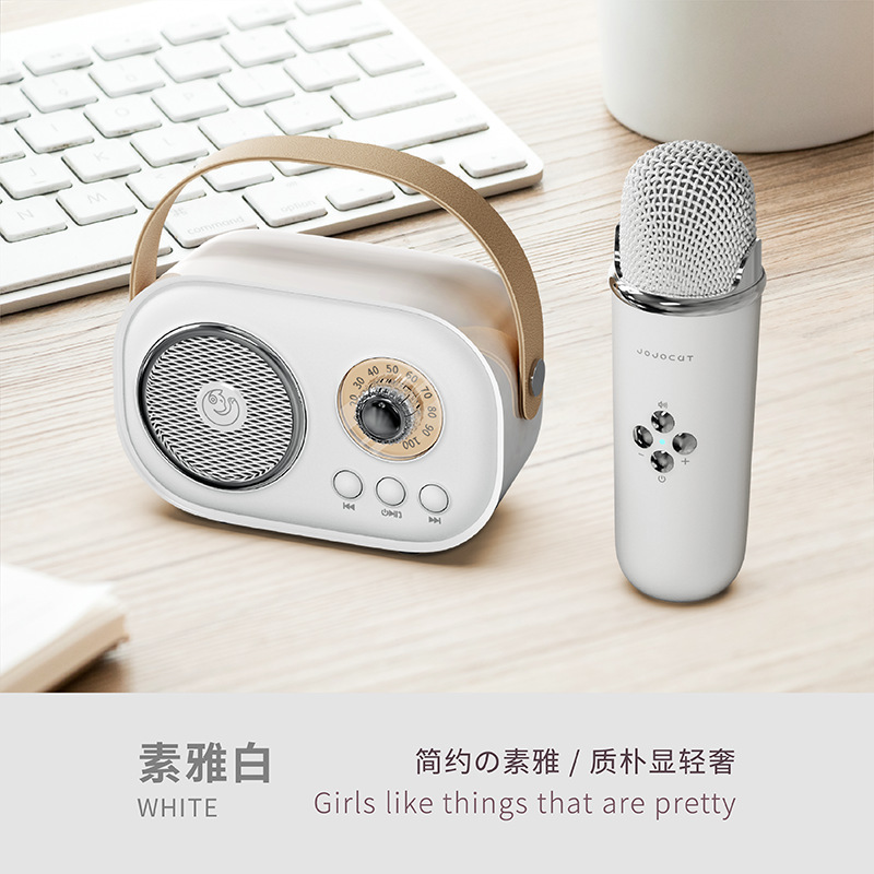 C20plus Speaker Wireless Bluetooth Speaker Microphone All-in-One Children's KTV Microphone Gift for Girls Bass