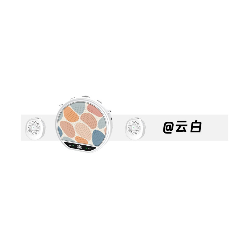 New Wireless Portable Amplifier, Loud Speaker for Street Vending, Little Bee Amplifier with Clip-on Mic for Tour Guides and Teachers