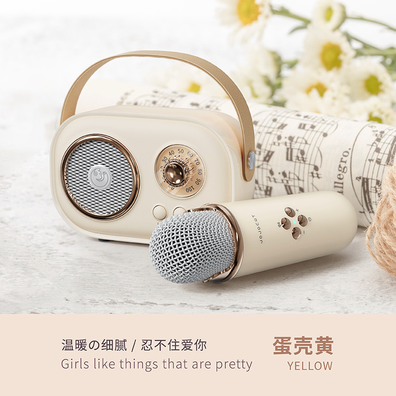 C20plus Speaker Wireless Bluetooth Speaker Microphone All-in-One Children's KTV Microphone Gift for Girls Bass