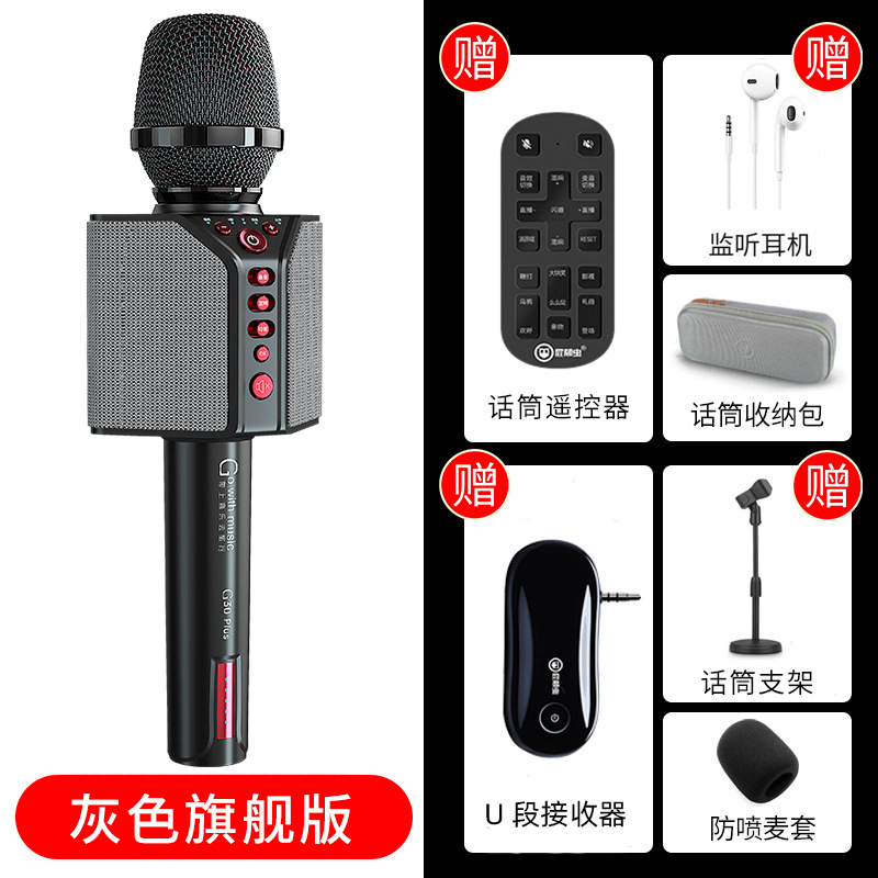 Pidianchong G30 Plus microphone speaker integrated microphone home wireless bluetooth mobile phone K song singing