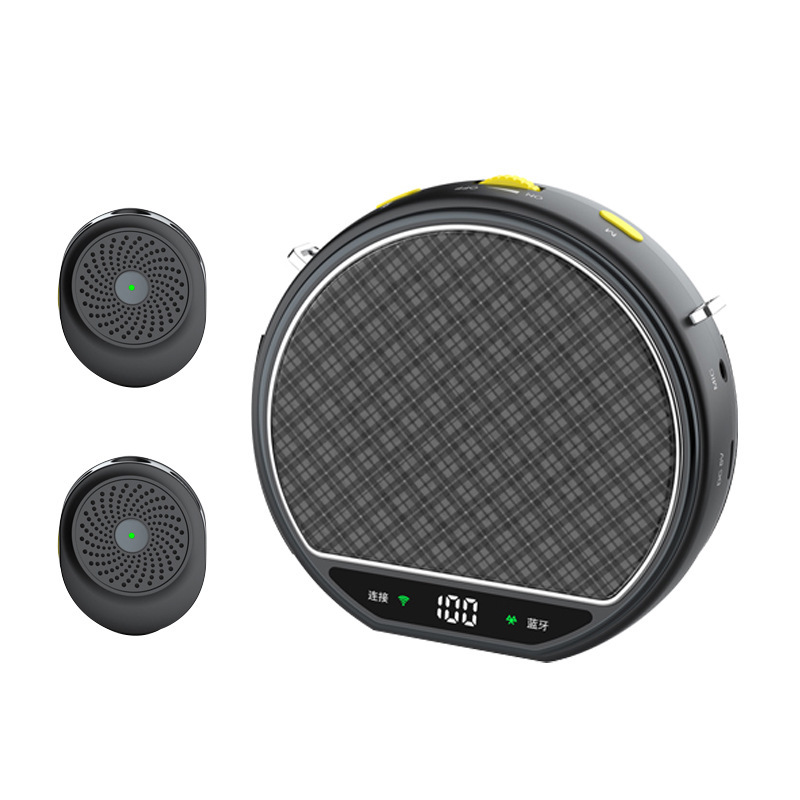 New Wireless Portable Amplifier, Loud Speaker for Street Vending, Little Bee Amplifier with Clip-on Mic for Tour Guides and Teachers