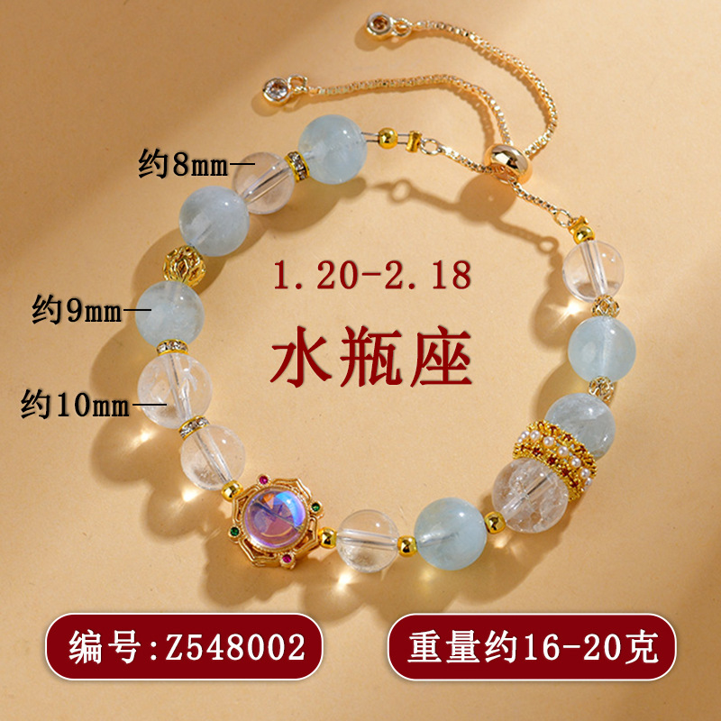 Z548水瓶座1.20-2.18