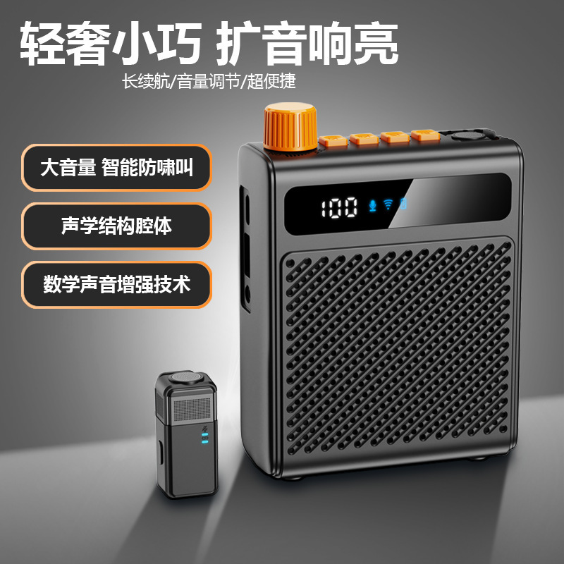 Custom Little Bee Amplifier for Teachers, Tour Guides, Sales, Shopping Malls, Waist-mounted Portable Speaker, Amplifier for Calling