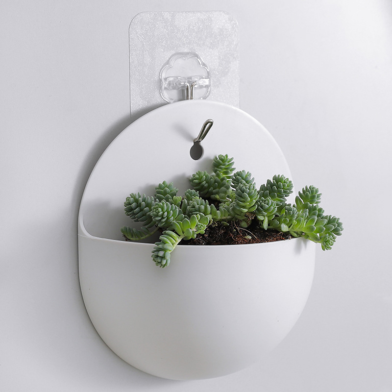 Hydroponic Wall-Mounted Flower Pot Wall Hanging Vase Lazy Man Plastic Wall Hanging Green Ivy Hanging Storage No-Drill