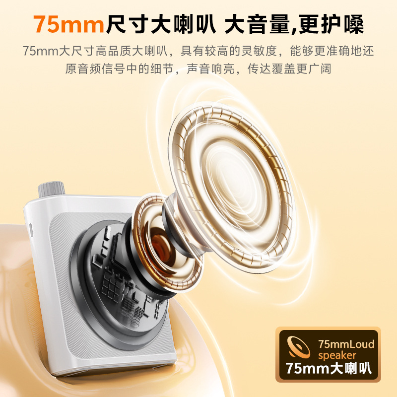 Custom Bee Speaker Amplifier Clip-on Loud Volume Amplifier Sales Portable Wireless Amplifier Teacher