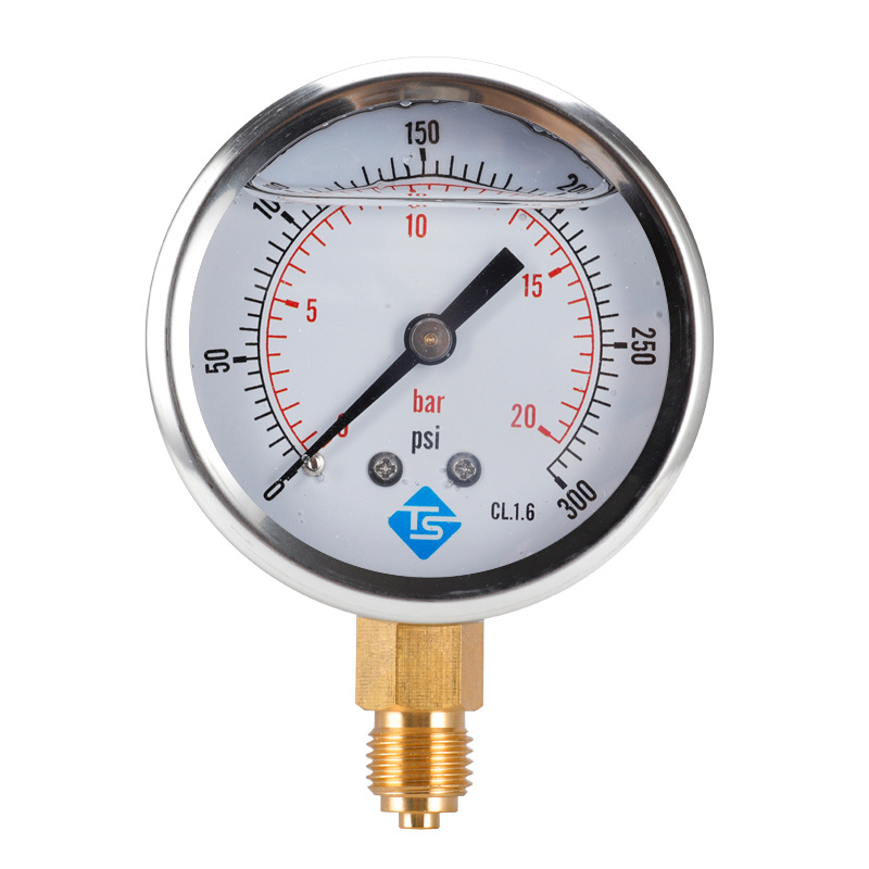 TS-PGG604-20bar
