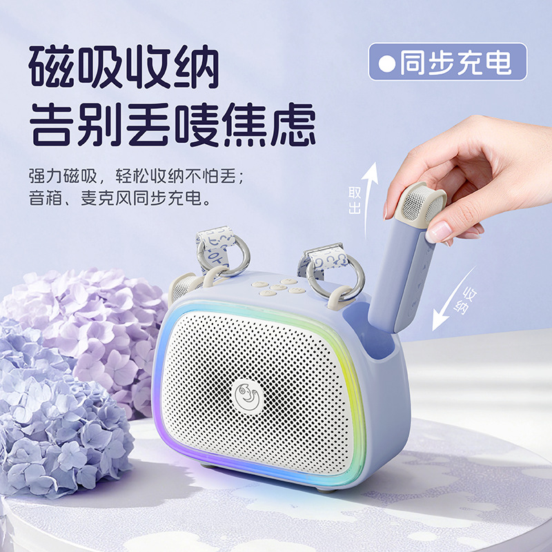 New Bluetooth K Song Speaker Microphone All-in-One Home Wireless Singing Tour Guide Teacher Teaching Amplifier