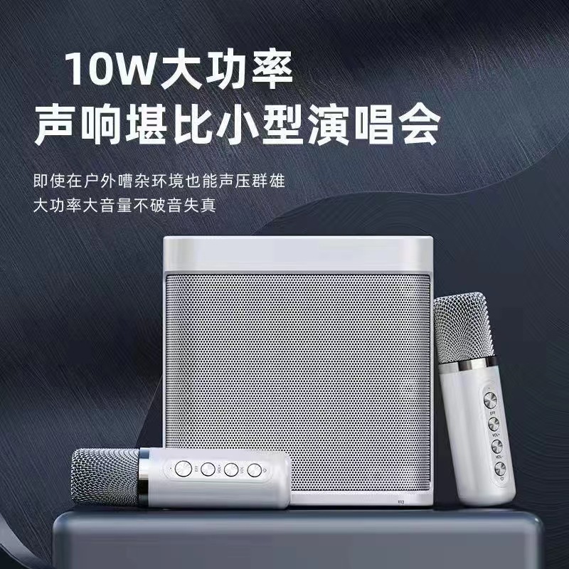 YS203 Bluetooth Speaker Wireless K歌 Speaker with Microphone Outdoor Singing YS203 Speaker