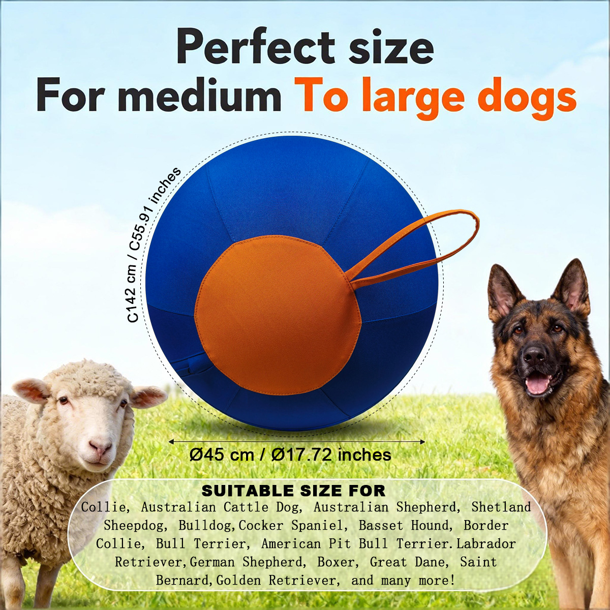 Dog inflatable grinding ball, bite-resistant pet training ball, Oxford cloth, entertaining Corgi, self-amusing toy, self-amusing toy