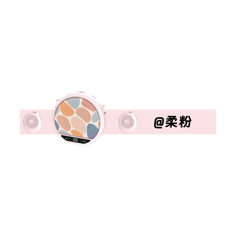 New Wireless Portable Amplifier, Loud Speaker for Street Vending, Little Bee Amplifier with Clip-on Mic for Tour Guides and Teachers