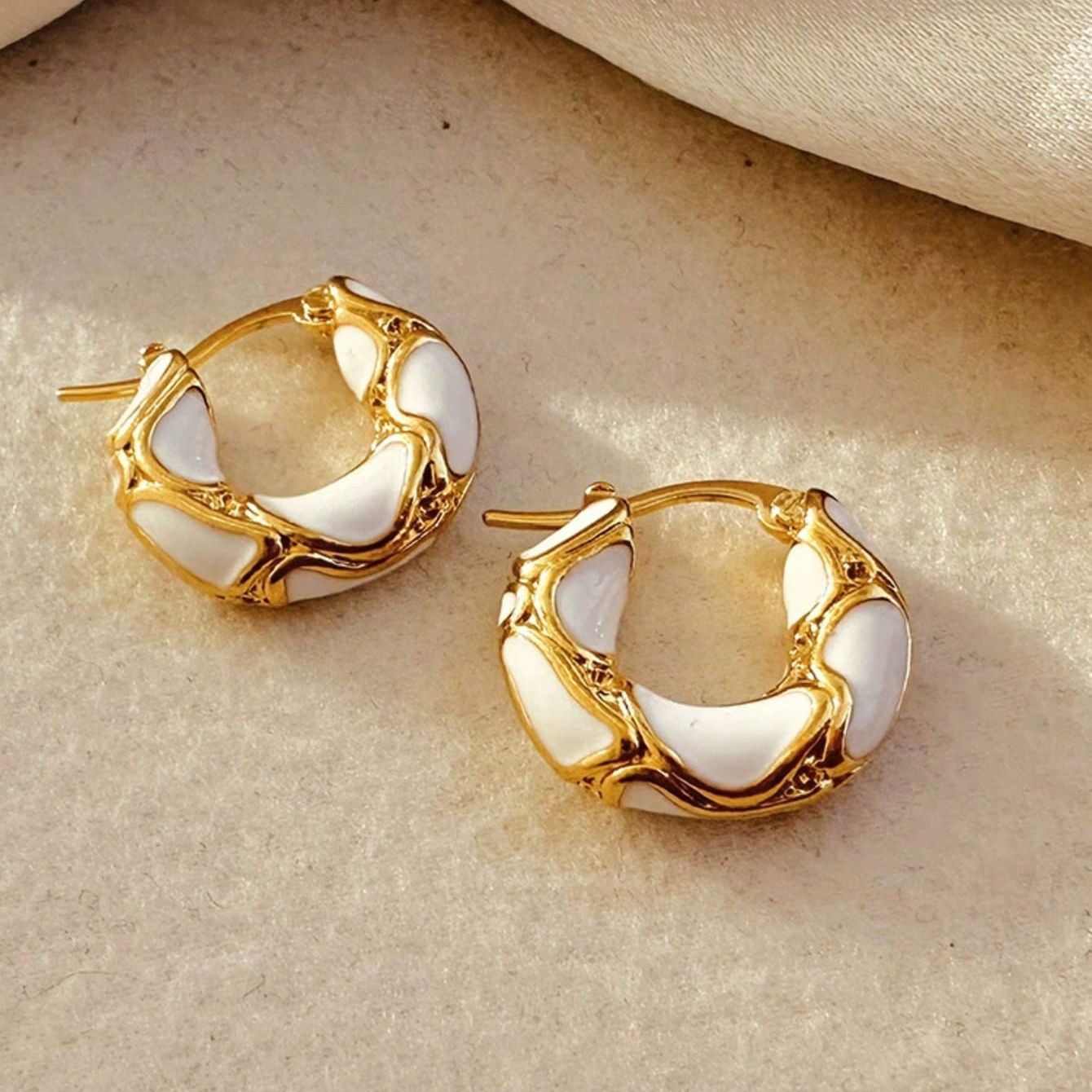 Autumn and winter Maillard tiger eye ear buckle earrings 2024 new ear accessories for women