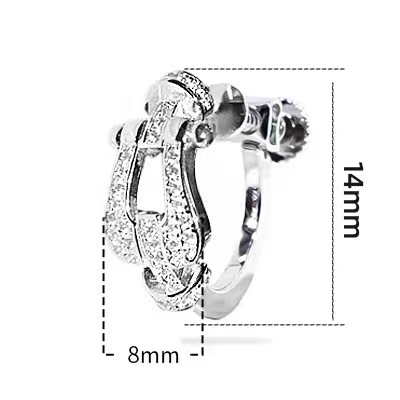 Horseshoe Buckle Ear Studs Women's Unique Exquisite Zircon Earrings 2024 New Ear Accessories