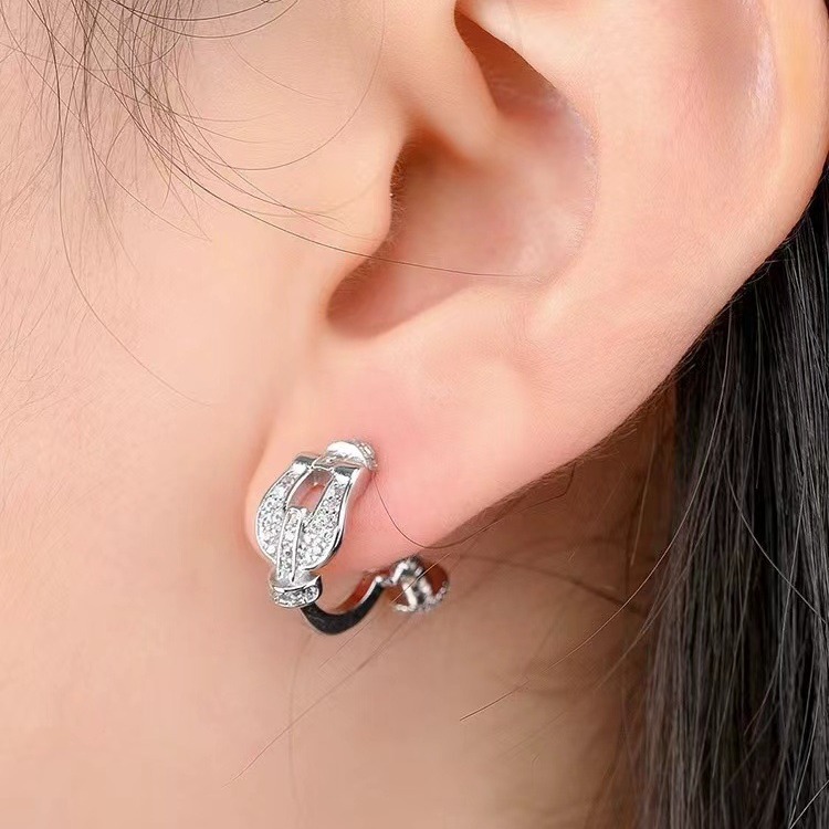 Horseshoe Buckle Ear Studs Women's Unique Exquisite Zircon Earrings 2024 New Ear Accessories