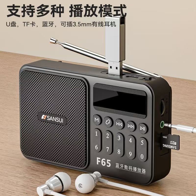 Shanshui F65 Plug-in Bluetooth Radio TF Card U Disk Radio for Elderly Portable Player