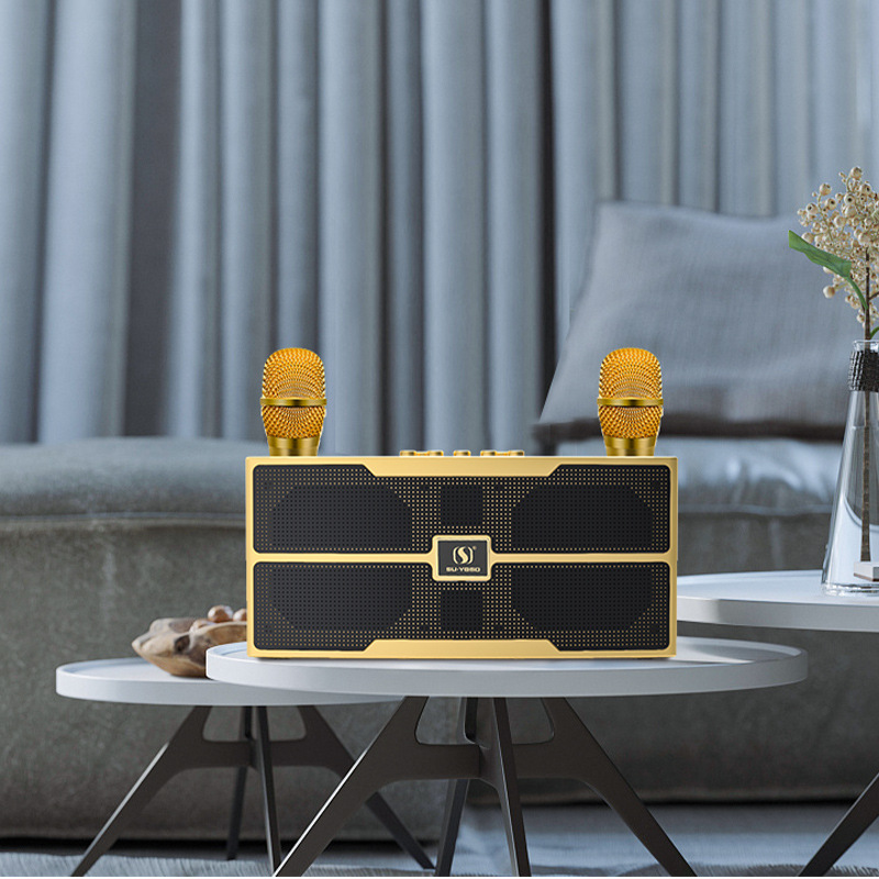 YS201 Wireless Bluetooth KTV Small Speaker Rock Bass Small Cannon Speaker Dual Microphone All-in-One Home Set