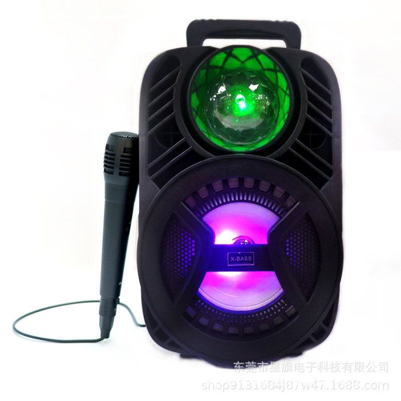 Black Colorful Bluetooth Karaoke Speaker with Microphone