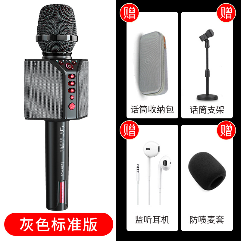 Pidianchong G30 Plus microphone speaker integrated microphone home wireless bluetooth mobile phone K song singing