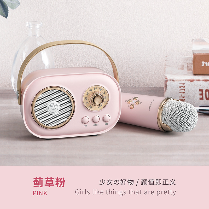 C20plus Speaker Wireless Bluetooth Speaker Microphone All-in-One Children's KTV Microphone Gift for Girls Bass